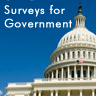 Online Survey Tool