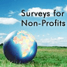 Web Survey