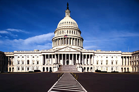 Surveys for Government