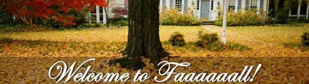 Zarca Newsletter September 2008